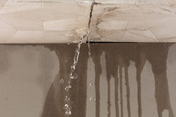Professional Sewage Cleanup technician working in Foley, MN